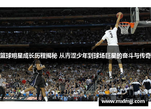 篮球明星成长历程揭秘 从青涩少年到球场巨星的奋斗与传奇